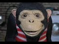 BARACK OBAMA'S VICTORY LAP on the Blog Monkey Show