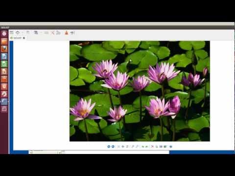 how to control ubuntu from windows