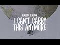 Anson Seabra - I Can't Carry This Anymore (Off