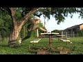 Picnic Table Training