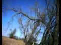 videos de Thanksgiving Pheasant Hunt.wmv
