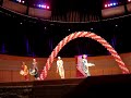 singkil-at-winspear-july-1-2008.html