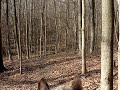 January trail ride in Ohio pt 3 January trail ride in Ohio pt 3
