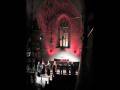 Josquin, Ave Maria by Lumen Valo