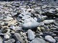 Fault Line