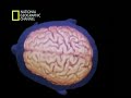 El Chi y otras energias ¿Son ciertas? (5 de 5)