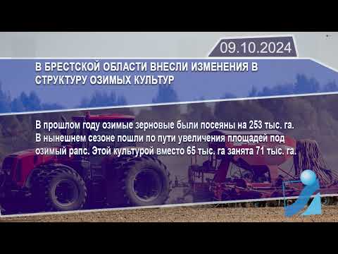Новостная лента Телеканала Интекс 09.10.24.