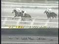 Gran Premio Nacional 1991 - Version Hembras
