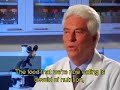 USANA True Health