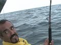 260 pound black marlin