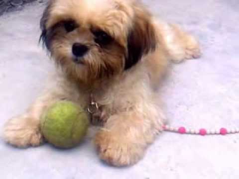 how to understand self