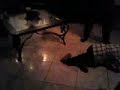 VID00014.mp4