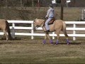 videos de Chadwick out for a Ride