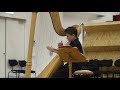 Harp Music: Fire Dance from petite Suite, David Watkins Harp Music: Fire Dance from petite Suite, David Watkins