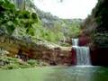 behari