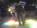 turkish comedy 5 turkish comedy 5