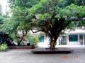 My Hometown