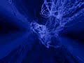 AphexTwin Song2