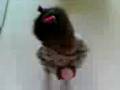 videos de Say You Will