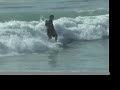aviso surfboard eli mirandon san diego