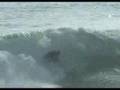 aviso surfboard eli mirandon san diego