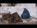 Afghan displaced face harsh winter