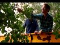 E Numbers An Edible Adventure S01E03