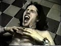 Hedonics, Templet 1995