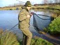 catching a mirror carp at whitmore kirkham nr blackpool catching a mirror carp at whitmore kirkham nr blackpool