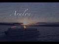 Avalon Pontoon Boats