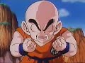 dragon ball z  audio latino  episodio 26
