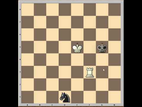 chess knight chess knight