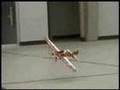R/C Model Airplanes and Helicopters Indoor - London, Canada