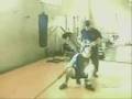 WSIOM.003 - Wing Shun in One Minute - San Lii Family