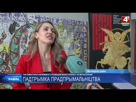 Развитие малого бизнеса на Ветковщине изучили парламентарии видео
