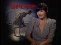Splice Delphine Chaneac 1