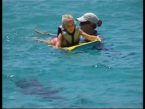 Jokkebrok - Noah dolphin swim.