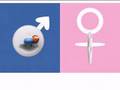 Fertell Fertility Test Review