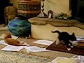 Re: Re: khordadian - kaj kolah khaan