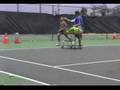 55 Ball drill & Push Ups