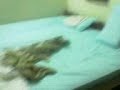 G.B.PANT SOCIAL SCIENCE INSTITUTE,ALLAHABAD-1 G.B.PANT SOCIAL SCIENCE INSTITUTE,ALLAHABAD-1