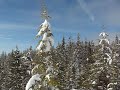 Snowshoing in the Bunster mountains