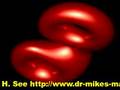 4D torus fly-through cross-section