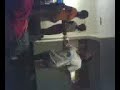 dizzy danny n quia