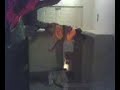 dizzy danny n quia