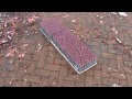 300 schots binkie project