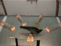 Sequential tool use by crow