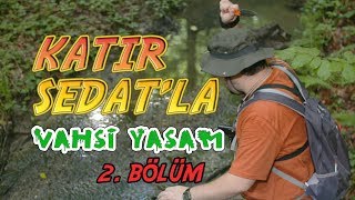katır sedatla vahşi yaşam bölüm 2 katır sedatla vahşi yaşam bölüm 2