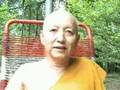 Ven. Dhammavuddho 36 - Vipassana, Enlightenment and the asavas