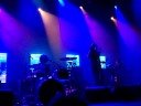 The Dandy Warhols \"You Come In Burned\"